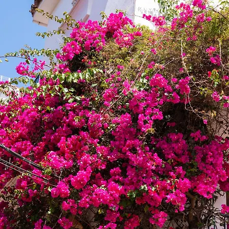 Puerto Banus Paradise 4 Dama De Noche Marbella