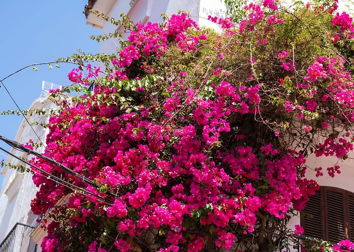 Puerto Banus Paradise 4 Dama De Noche Марбелья