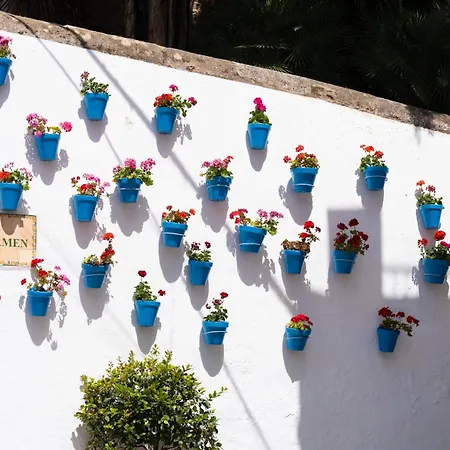 Apartment Puerto Banus Paradise 4 Dama De Noche Marbella